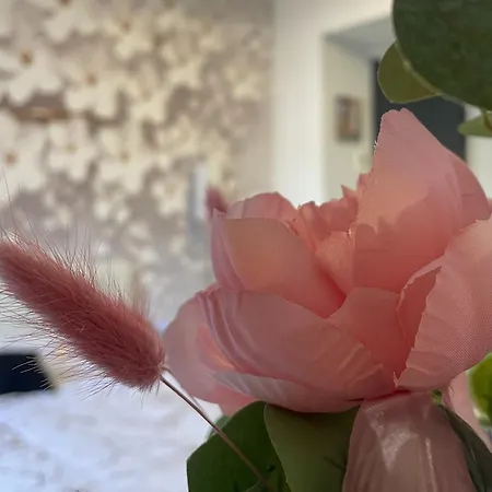 Reve Dore Equipe, Wifi, Unique Apartment Lourdes