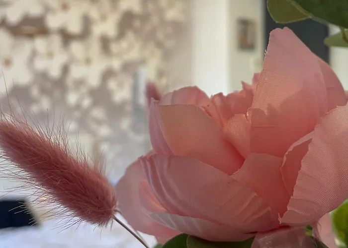 [rêve Doré] équipé, Wifi, Unique Appartement Lourdes