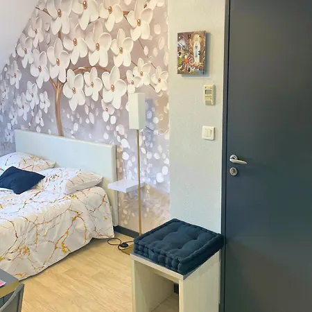 Apartamento [rêve Doré] équipé, Wifi, Unique Lourdes